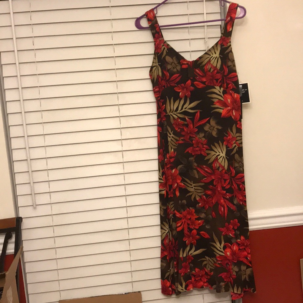 NWT Madison Leigh long floral dress size 10P